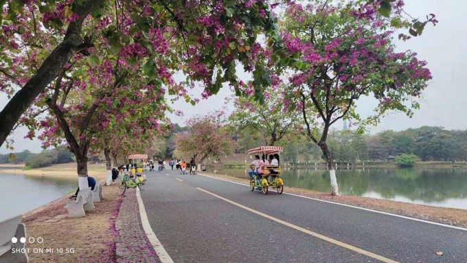 ra1qIJ.jpg