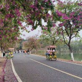 ra1qIJ