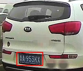 sjdgw6.jpg