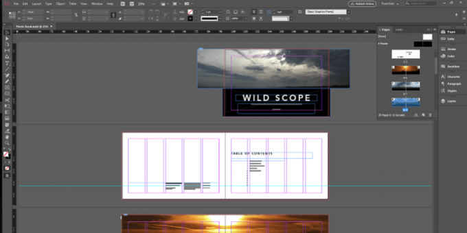 adobe indesign review