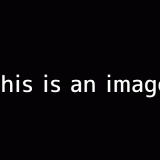 yvPdf0