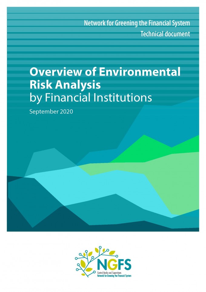overview of environmental risk analysis by financial institutions 页面 01
