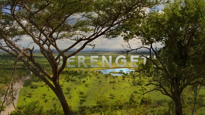 Serengeti.S01E01.720p.BluRay.x264 SHORTBREHD.mkv 20210323 093157.929