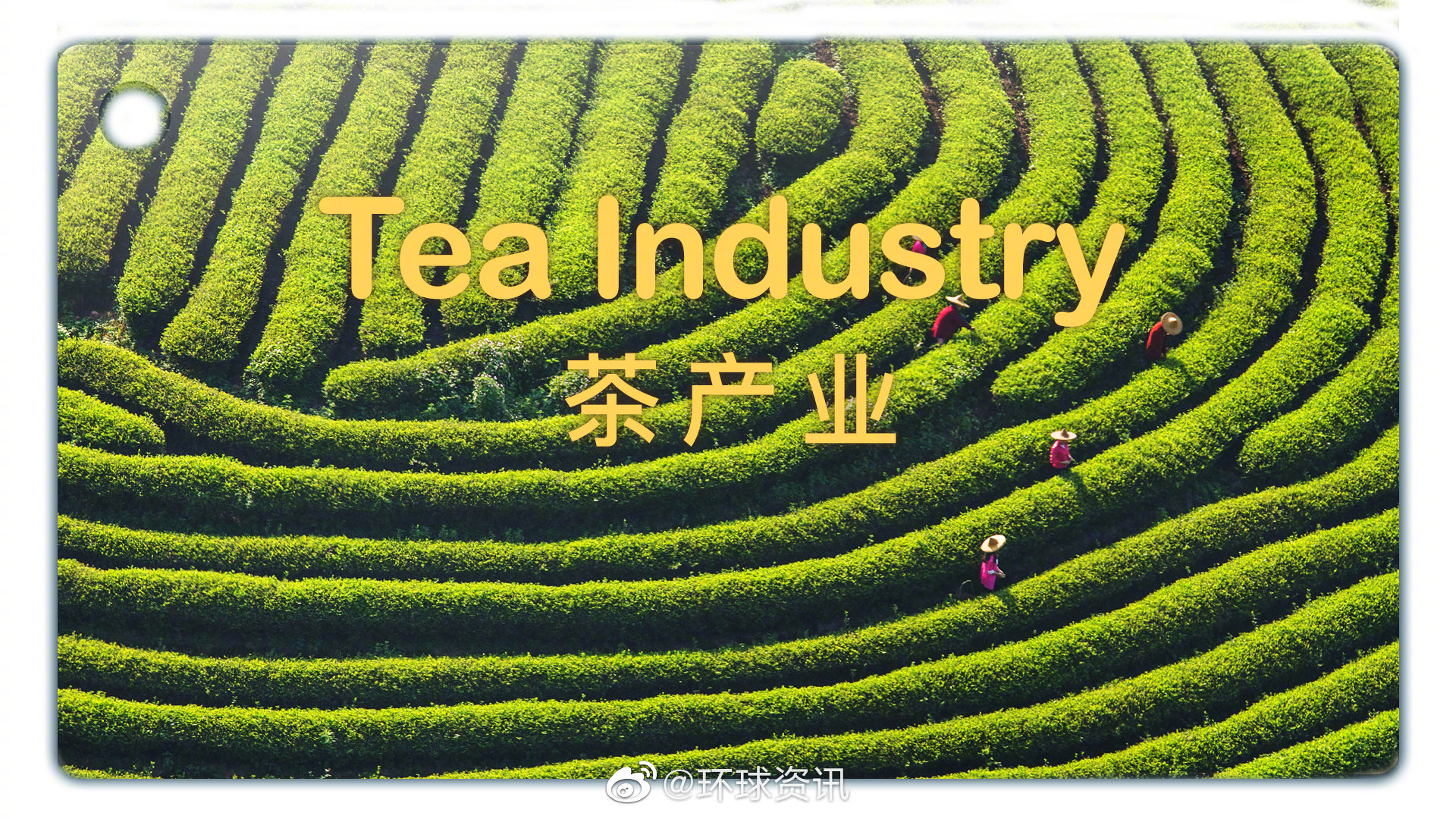 茶产业用英语说是Tea Industry