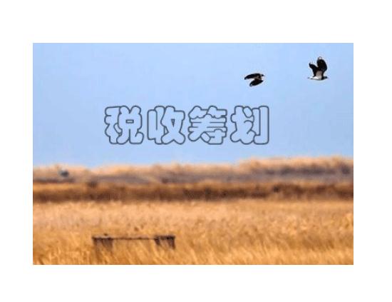 税务筹划