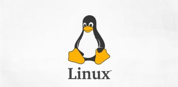 虚拟机下Linux配置静态ip，使得XShell成功连接