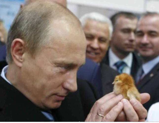 秘密太空战争十三:外星伙伴告诉普京,“别担心,我们支持你”(2014)