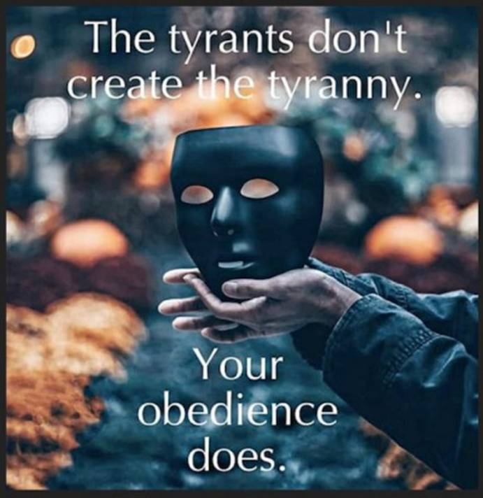 2021年4月3日:准备洪水|星际飞船地球