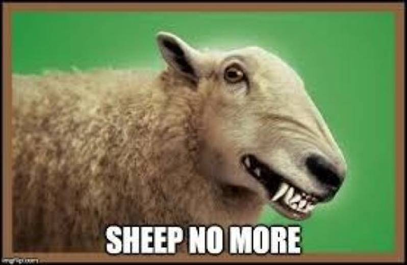 复活节周日晚版:四月洪水ー带上你的橡胶套鞋和雨靴|星际飞船地球