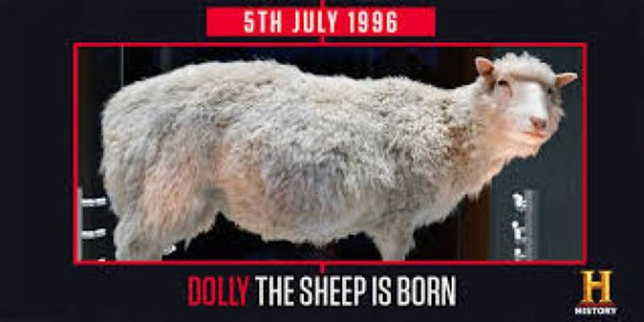 2021年4月7日:结束全垒打|星际飞船地球