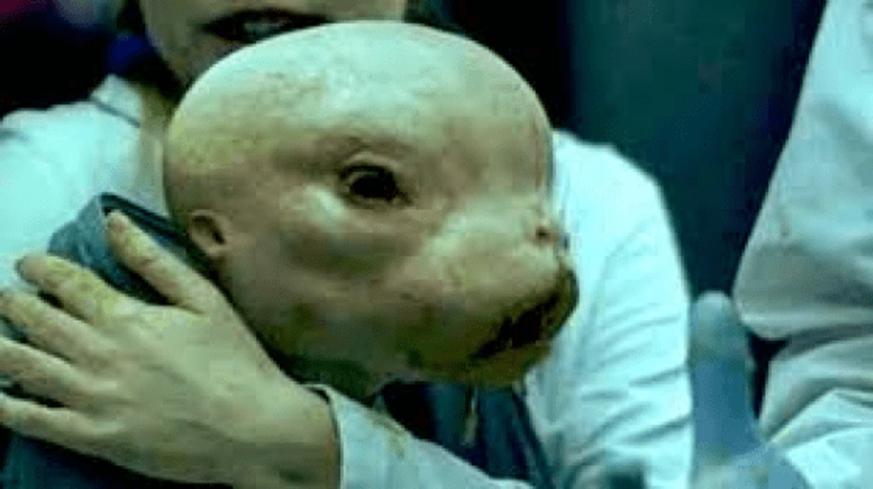 2021年4月7日:结束全垒打|星际飞船地球