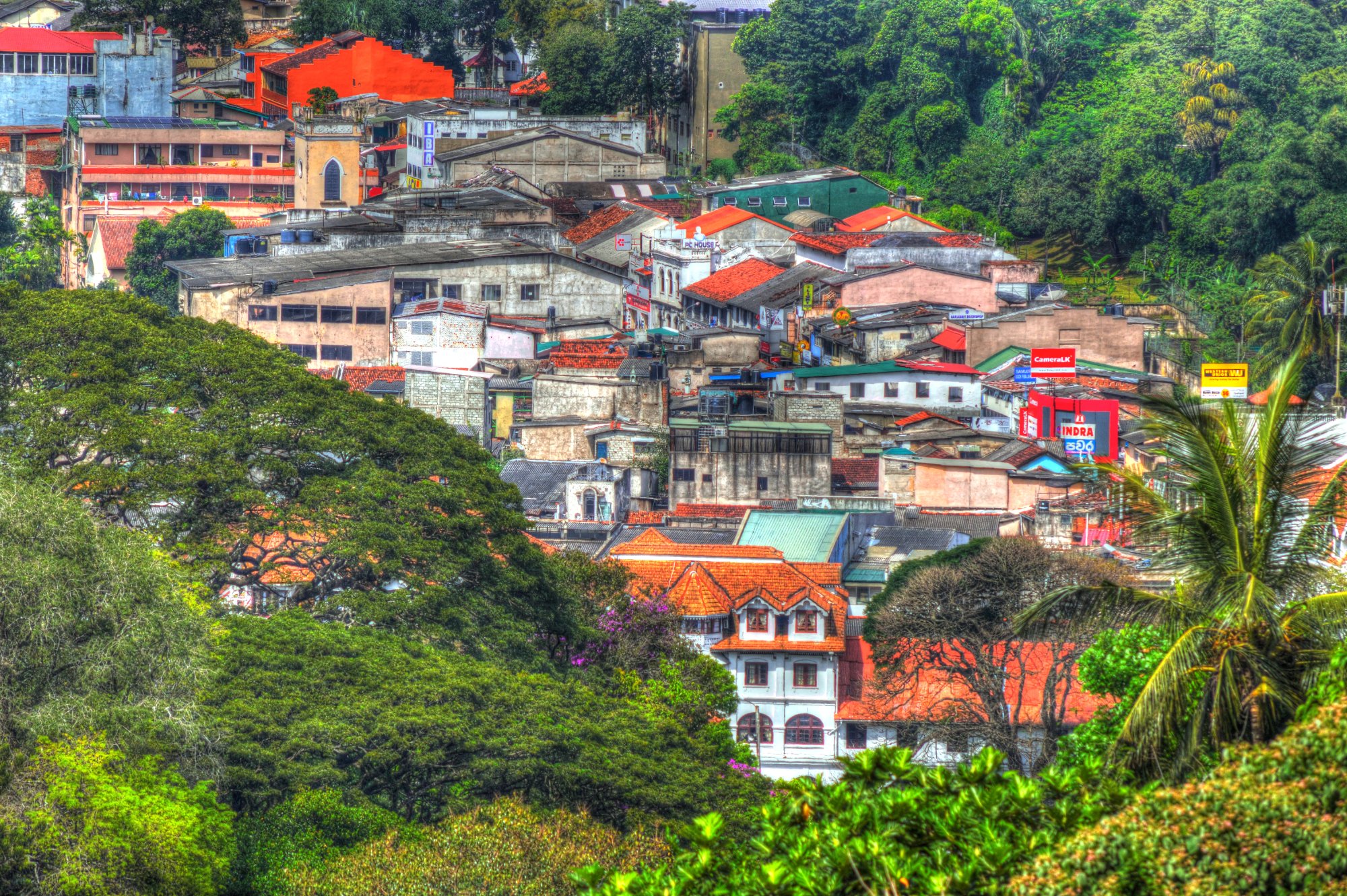 看看出行国外旅游 11 半山近景 11