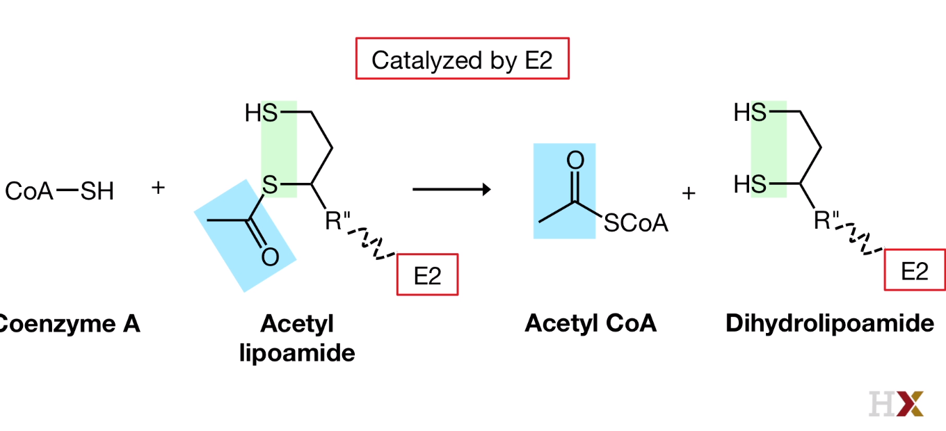 Oxidative Decarboxylation Transfer