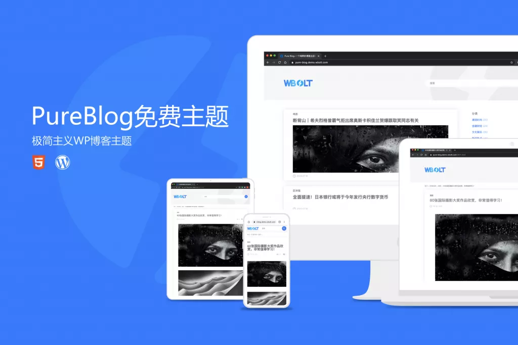 Pure Blog主题:一款极简的免费WordPress博客主题下载插图1 Pure Blog主题:一款极简的免费WordPress博客主题下载插图1