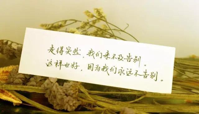 【值得一听】每日歌曲分享:《来不及告别》-张叶蕾-南逸博客