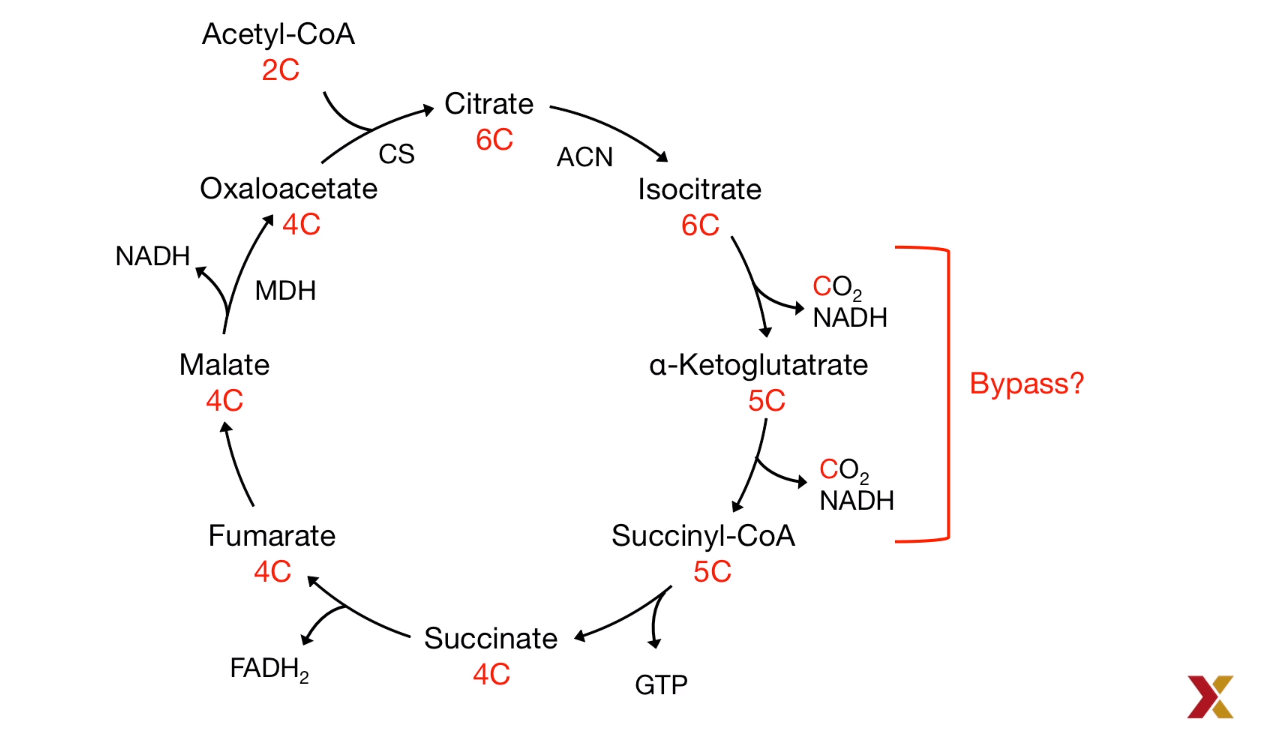 Carbon Consuming in Citric Acid Reaction
