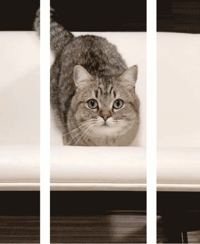 g2eOUA.gif