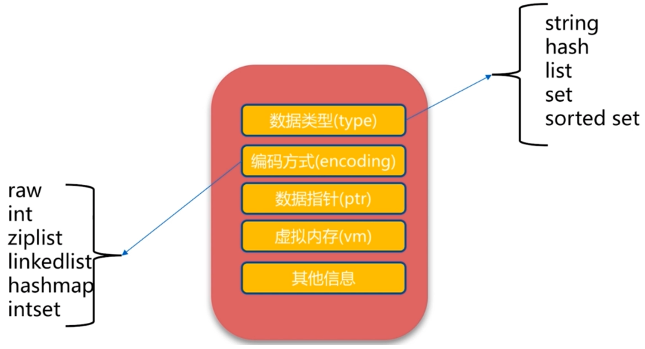 image-20210601080813355