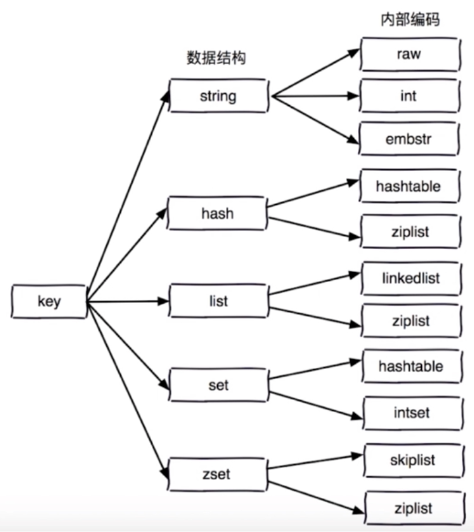 Redis数据结构和内部编码