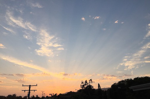 “胡安•奥•萨文关于Q项目和查理-沃德与吉姆-凯瑞扮演的乔-拜登的花絮” Kat – 6.17.21