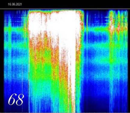 “胡安•奥•萨文关于Q项目和查理-沃德与吉姆-凯瑞扮演的乔-拜登的花絮” Kat – 6.17.21