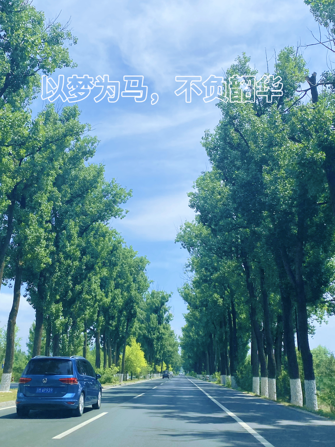 以梦为马，不负韶华