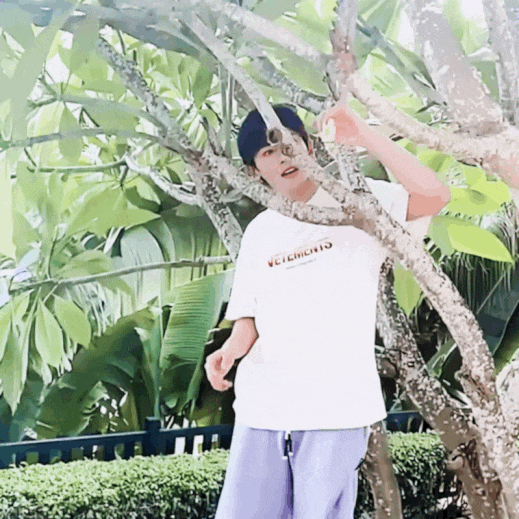 WFxq56.gif