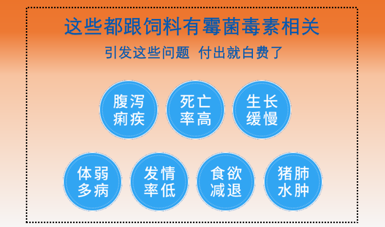 三效脱霉净:分解霉菌毒素,解除免疫抑制,保护肝脏功能,呵护肠道健康