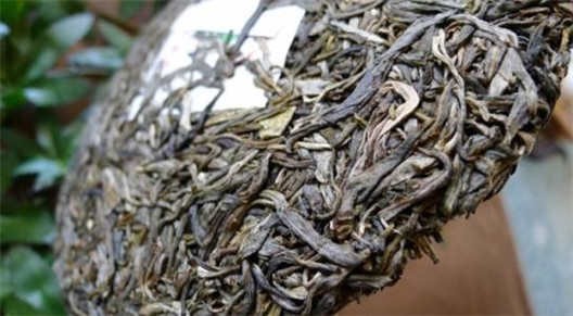 %title插图%num 一张奇怪老青茶的图片