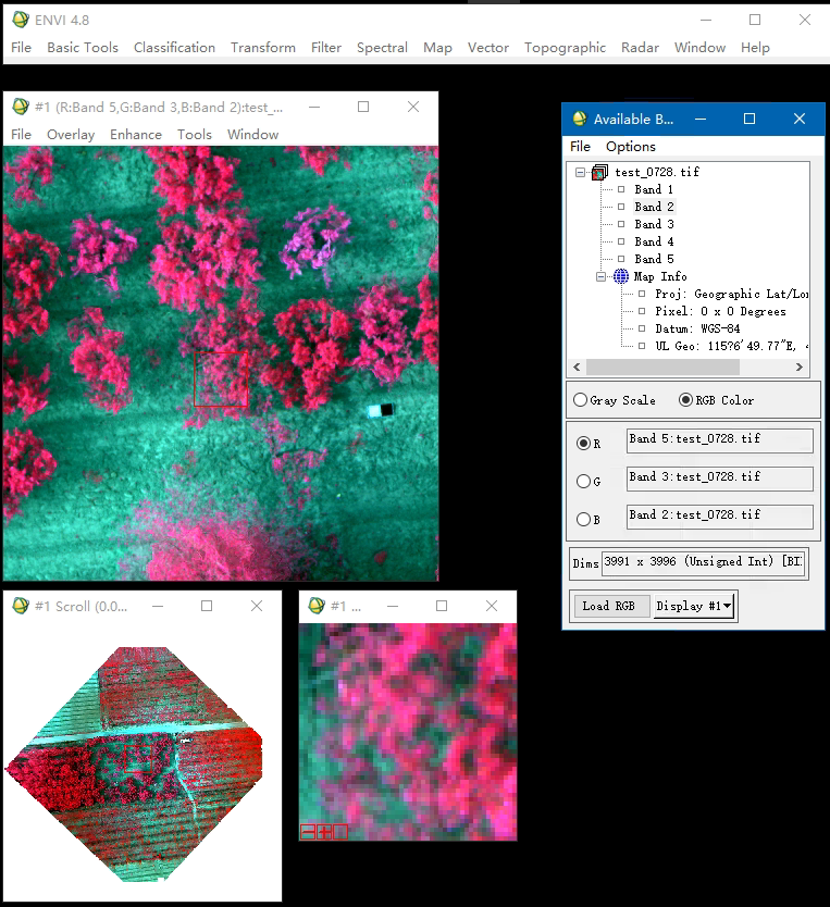 P4M原始多光谱影像的正射影像生成，Metasha直接导出波段合成后的TIFF格式正射影像