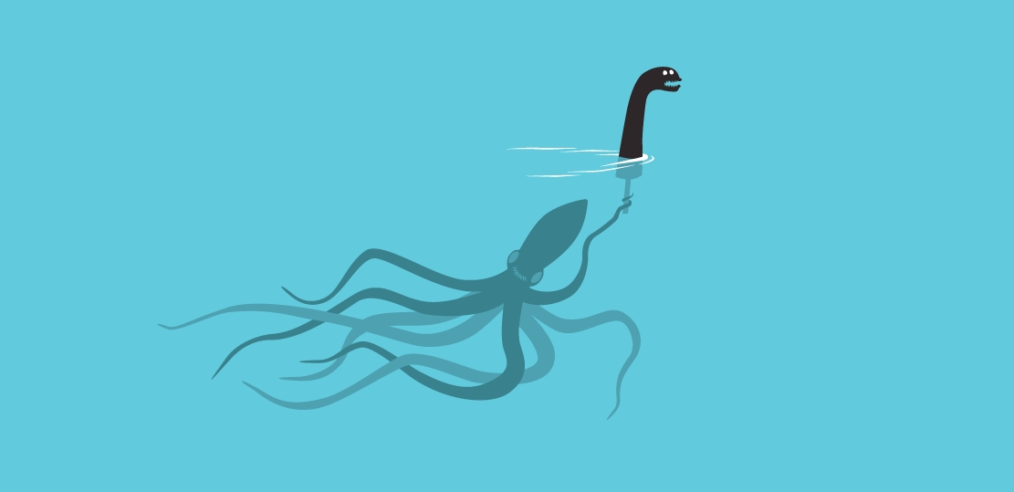 路过你的一条章鱼