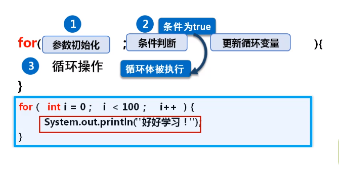 for循环