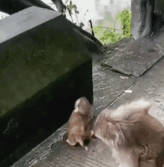 fQICpF.gif