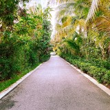 fl20AO