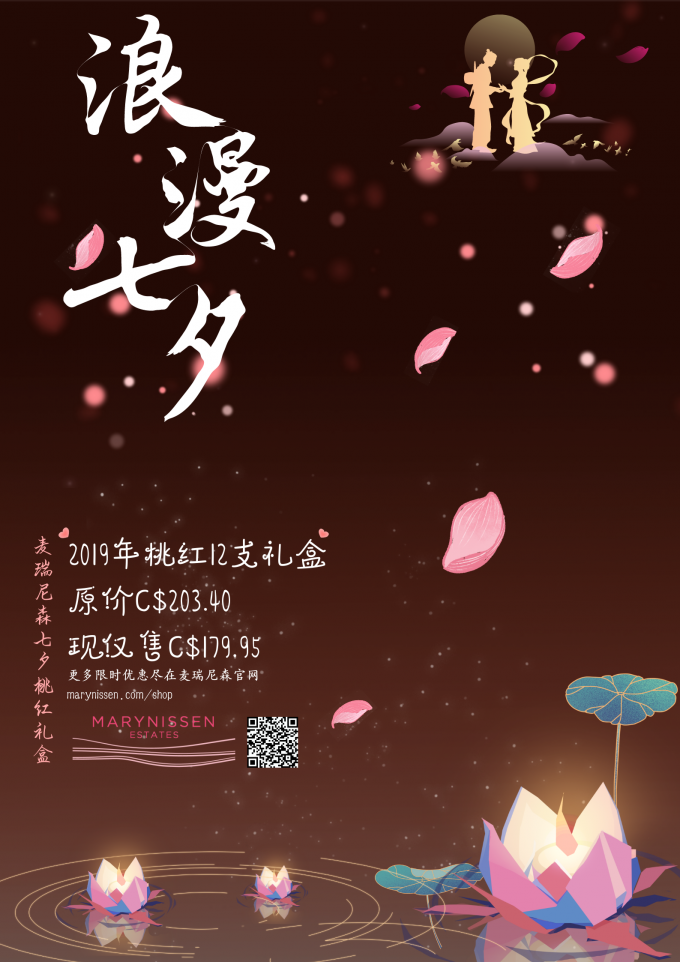 粉褐色莲花灯简约七夕旅游促销中文海报 (1)