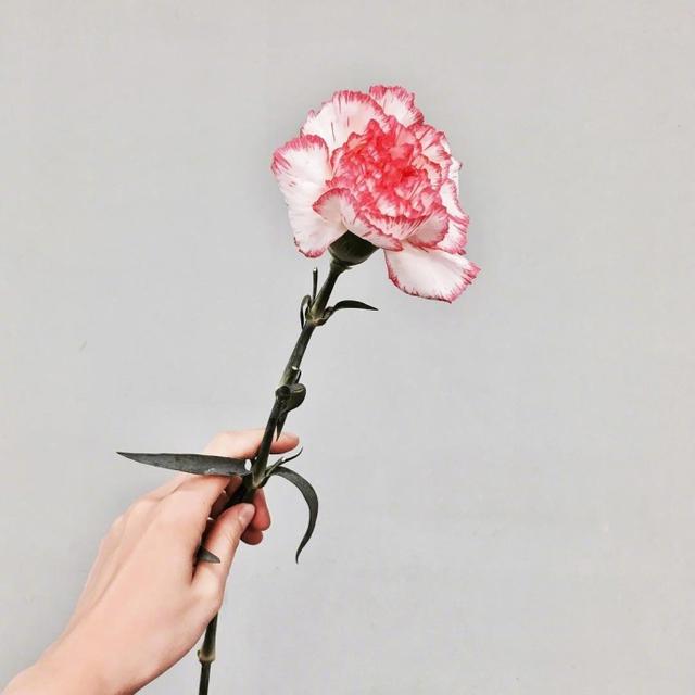 关于七夕情人节的祝福语,句句简短浪漫,赶快送给她吧!-幽兰花香 关于七夕情人节的祝福语,句句简短浪漫,赶快送给她吧!-幽兰花香