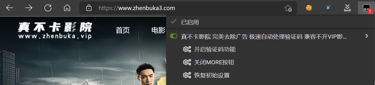 真不卡影院 完美去除广告 极速自动处理验证码 兼容不开vip影视