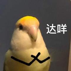 达咩