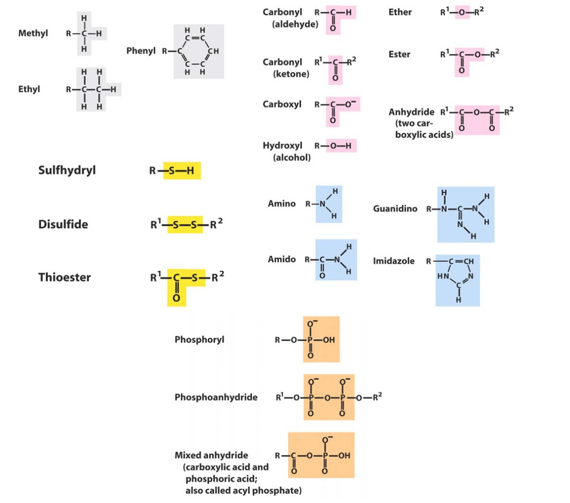 Common Chemical Groups