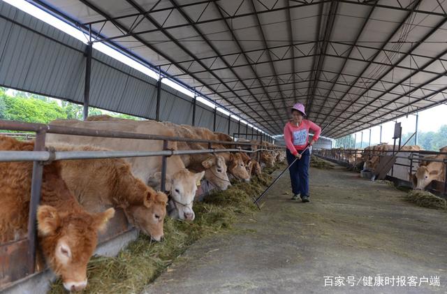 中疾控周报:山东省出现炭疽死亡病例-幽兰花香 中疾控周报:山东省出现炭疽死亡病例-幽兰花香