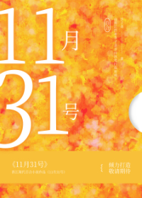 11月31号