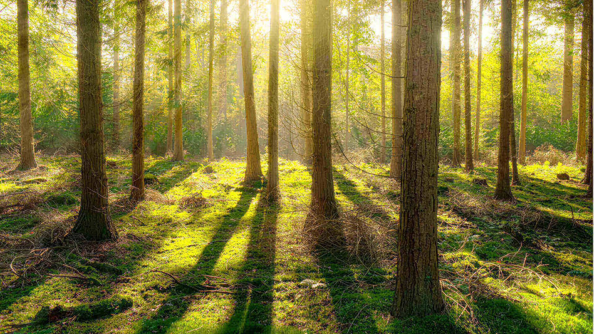 负离子健康衣服，让您拥有前所未有的健康