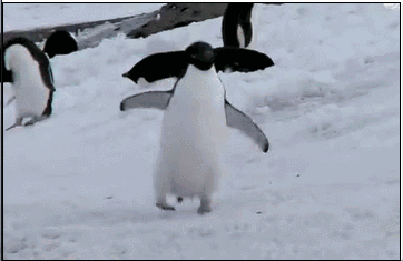 4aLfzt.gif