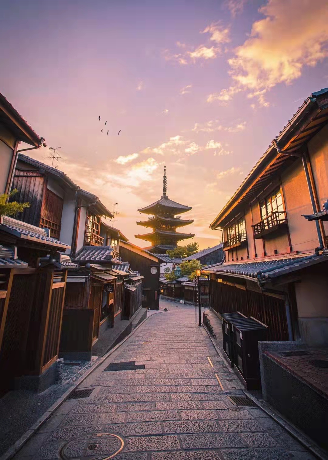 京都盛景