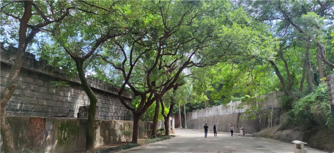 5tKPX9.jpg