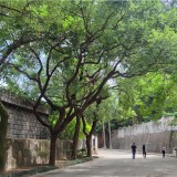 5tKPX9