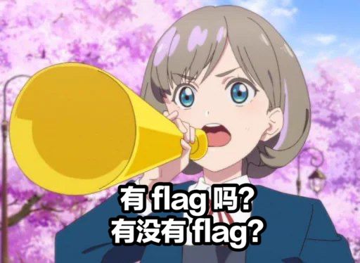 有 Flag 吗