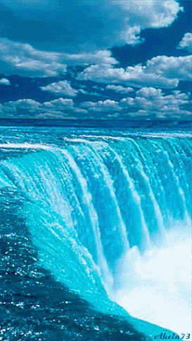 5zdQ8P.gif