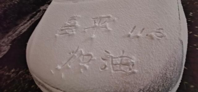 立冬前一天，北京初雪来了！网友晒图，太美了-幽兰花香