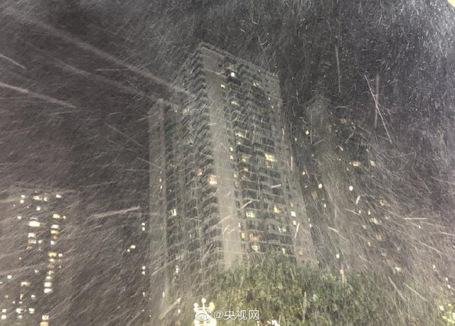 立冬前一天,北京初雪来了!网友晒图,太美了-幽兰花香 立冬前一天,北京初雪来了!网友晒图,太美了-幽兰花香